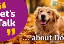 Borough council consults on dog control in public spaces