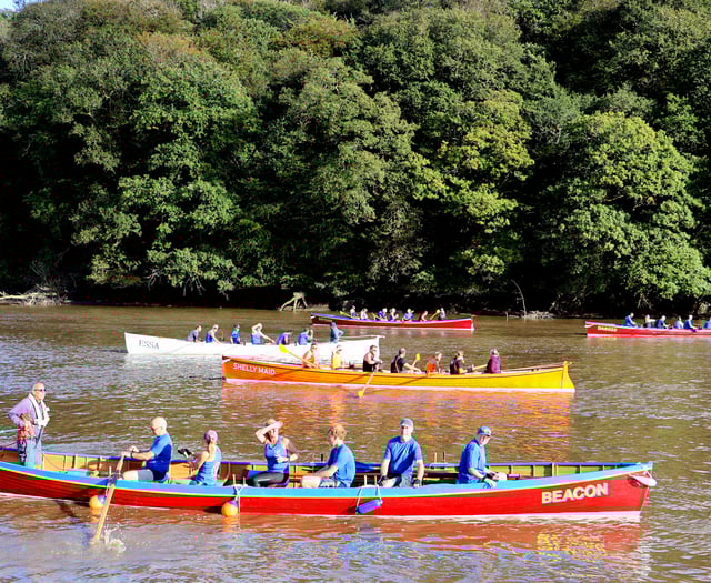 Cothele gig rowers' Tamar regatta