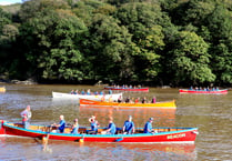 Cothele gig rowers' Tamar regatta