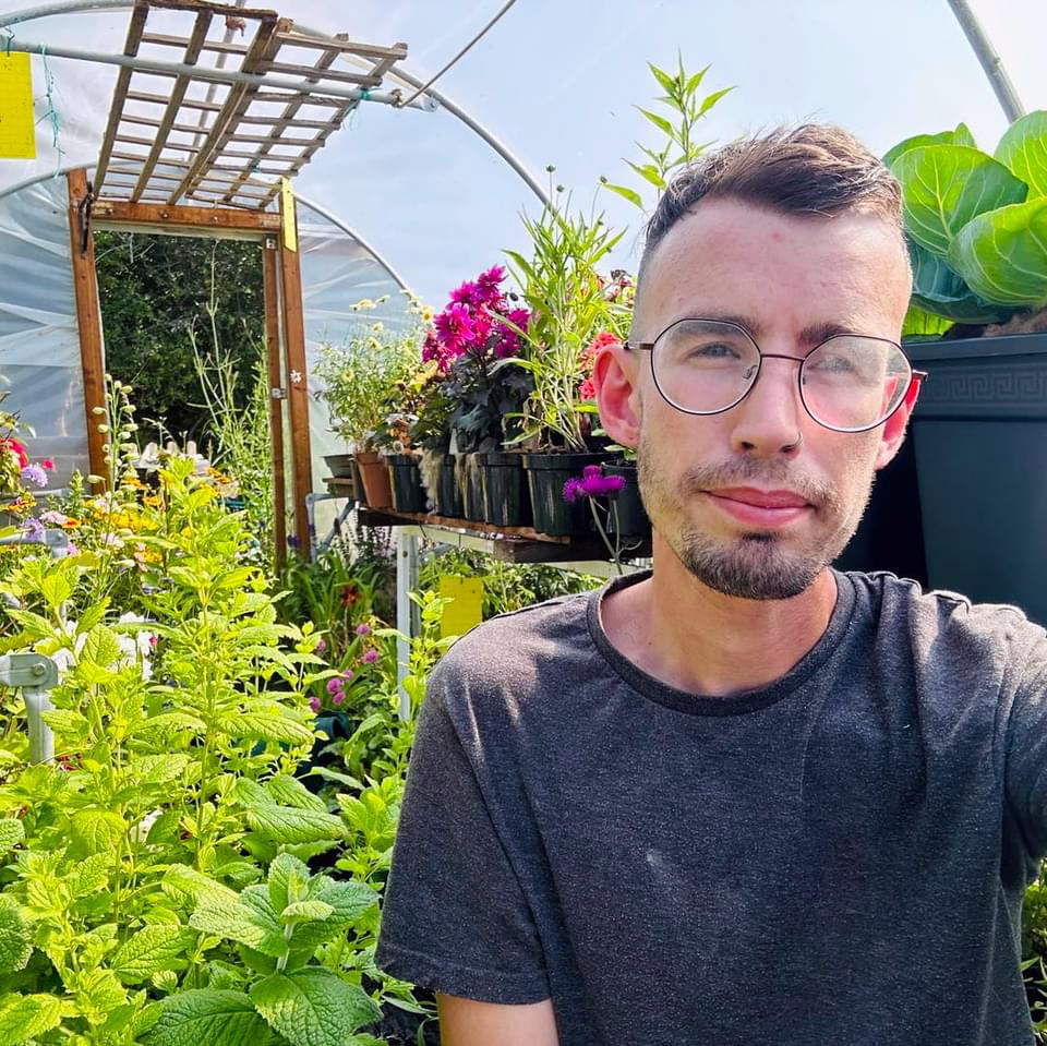 Tavistock gardener on Alan Titchmarsh award list