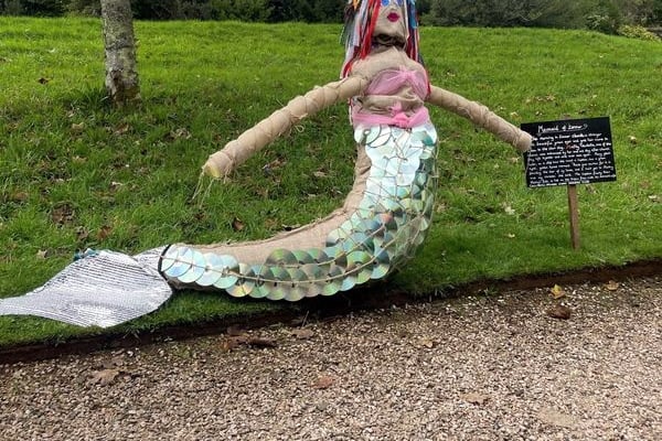 Cotehele NT children's spooky trail opens until Sunday (Nov 5).
