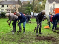 Tavistock Rotary Club plants 4,000 bulbs for polio