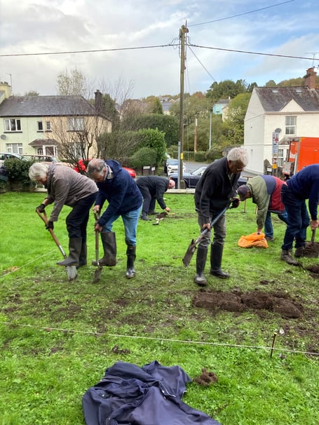 Tavistock Rotary Club's polio awareness bulb planting