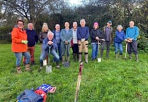 Community teams up with gardening group to plant 4,000 bulbs