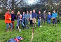 Community teams up with gardening group to plant 4,000 bulbs