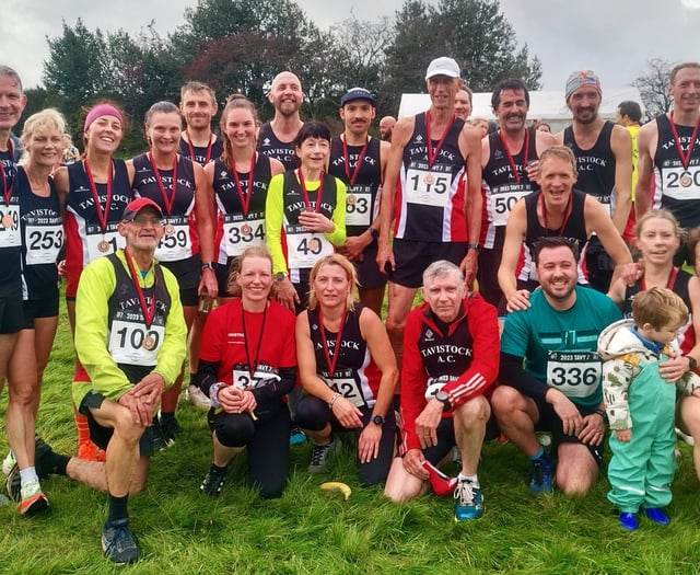 WATCH: video footage of Tavy 7