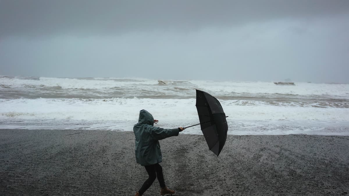 Storm Ciarán: school closures in West Devon | tavistock-today.co.uk 