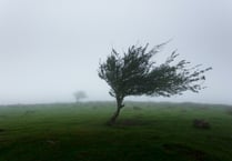 Storm Ciarán: take care on the roads