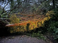 Storm Ciarán: Latest traffic, schools and flood warnings for Cornwall 