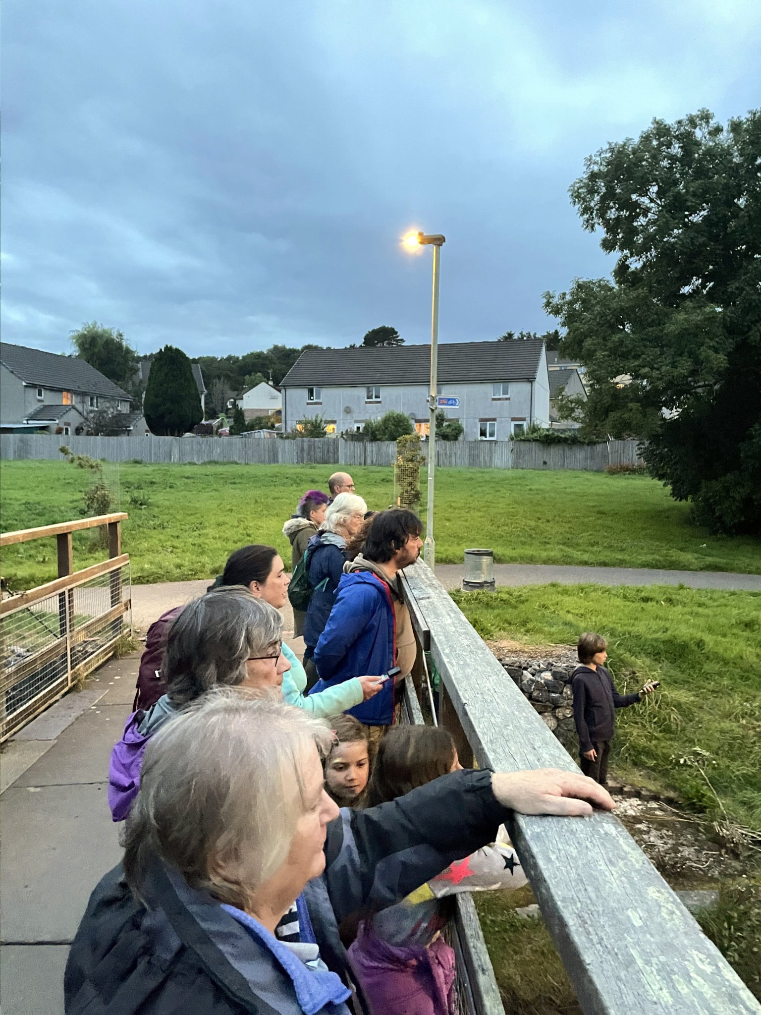 New town wildlife group’s bats success