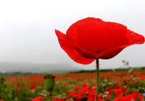 Tamar Valley Remembrance services