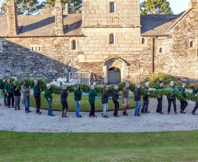 Cotehele garland starts to take shape for Christmas
