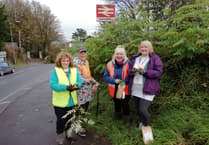 Station set to bloom thanks to local planting group