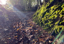 Middlemoor path in low sun