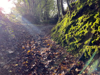 Middlemoor path in low sun