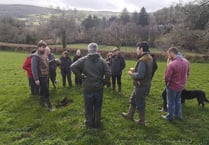 Dartmoor hill farmers offered free training
