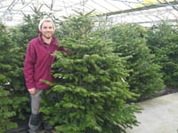 Plants Galore claims lowest Christmas Tree prices in the South West