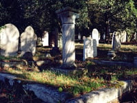 Council officers stored dead people’s valuables in their homes
