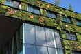Demand for sustainable buildings rises as UK beats world average 