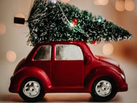 What can you do with your real Christmas tree in Tavistock?