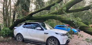 High winds bring down trees and a lorry