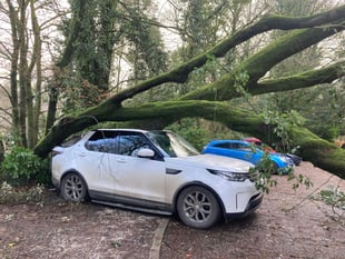 High winds bring down trees and a lorry