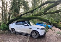 High winds bring down trees and a lorry