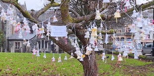 Tavistock church tree hosts a host of knitted angels