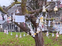 Tavistock church tree hosts a host of knitted angels