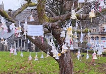 Tavistock church tree hosts a host of knitted angels