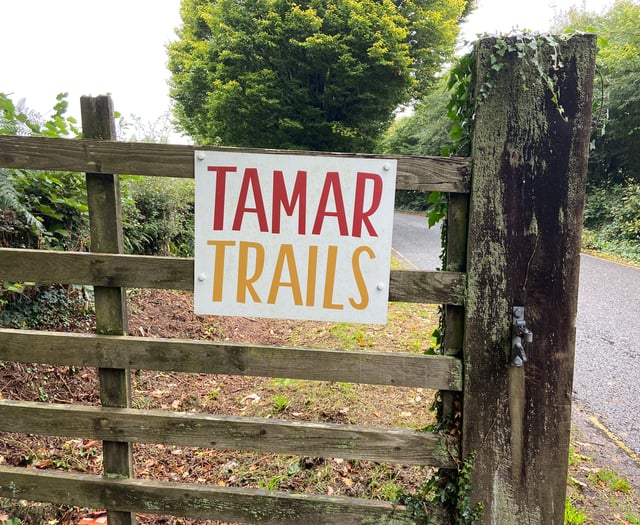 Objections to fresh application for treetop ride at Tamar Trails