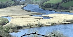 More bathing spots expected in the future