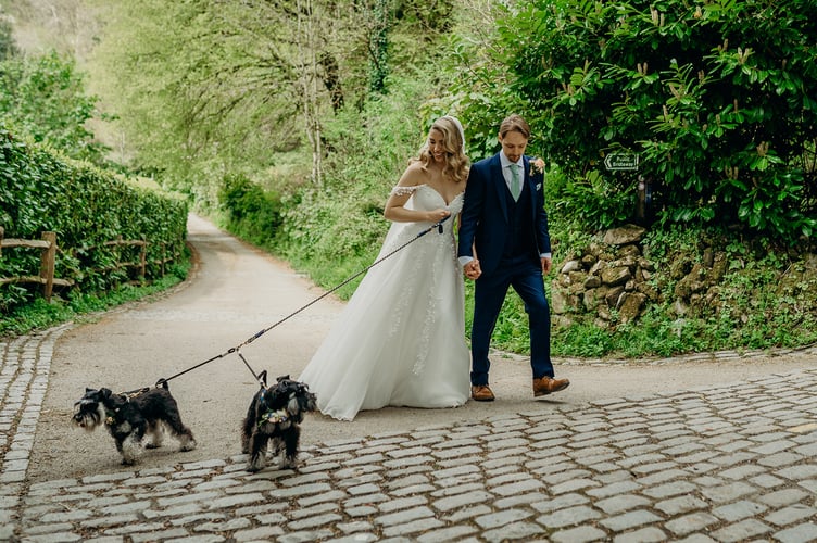 dartmoor riverside wedding - madelaine and stephen-362 copy 2.JPG