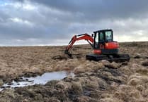 Burrator peat project to save wildlife