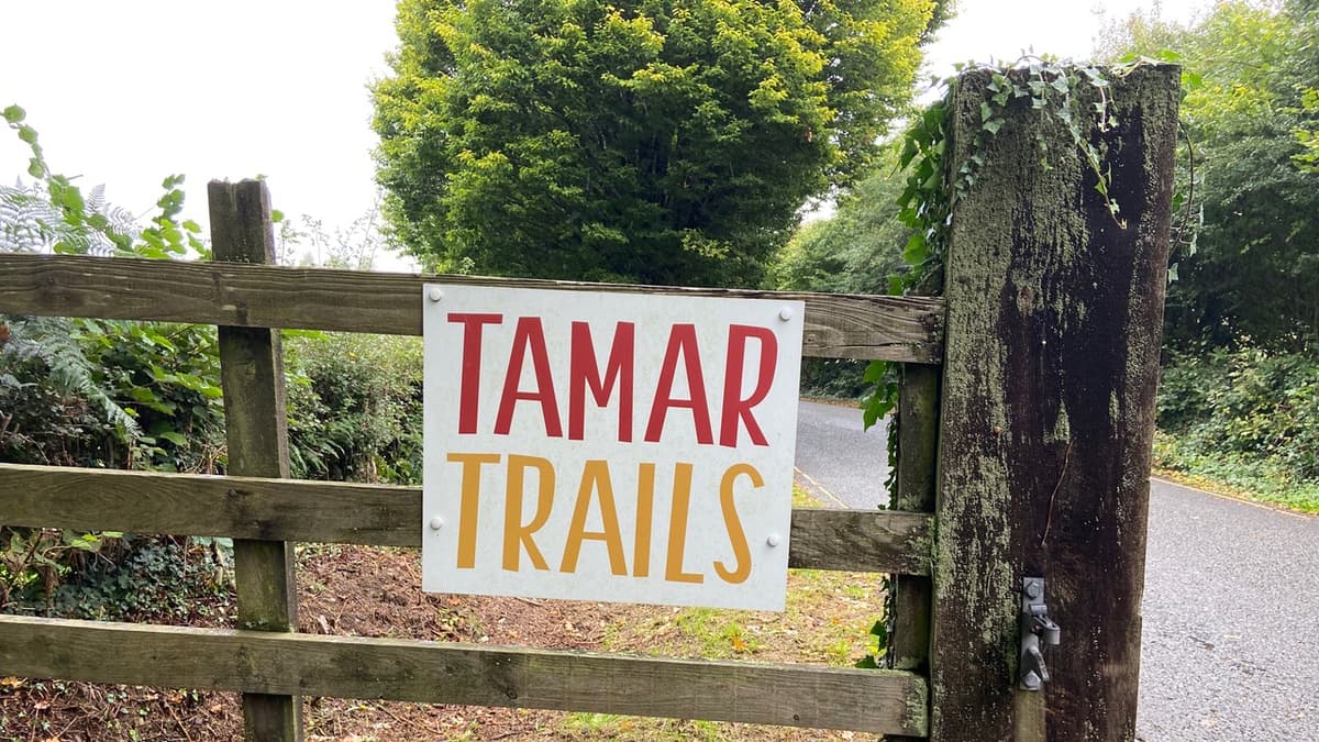 Baumkronenfahrt in den Tavistock Woodlands wird den Tourismus ankurbeln