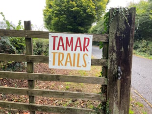 Treetop ride will ‘boost tourism’