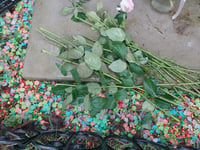 Mystery over nibbled flowers on baby’s grave