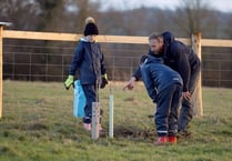 Author backs project bringing city children into nature and farming
