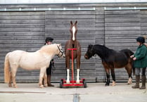 Appeal to buy Max the mannequin horse to train Dartmoor rescue teams