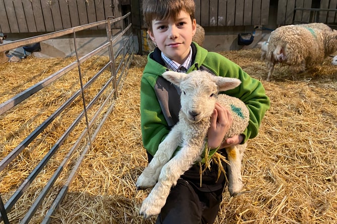 Lambing week with Billy Cole at Greenwell Farm