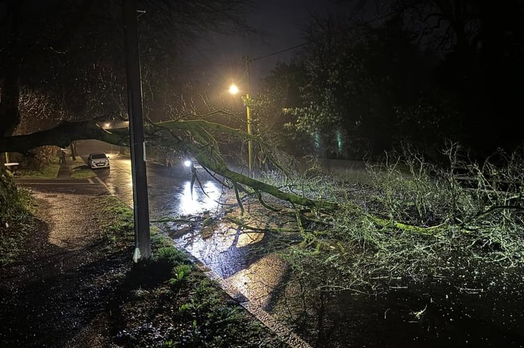 Tree down in Down Road which blocked the road last night (Tuesday) was cleared by tree surgeons and a chipper.