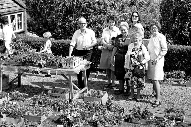 Tavistock Hospital garden fete