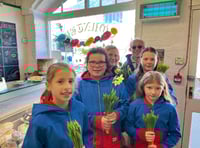 Shop window contest brings spring optimism to town