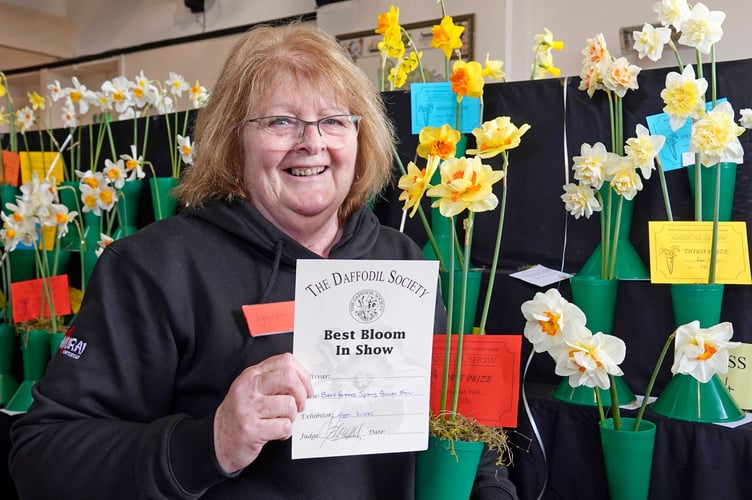 Bere Ferrers Spring Flower Show