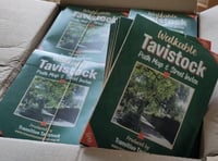 Transition Tavistock: Mapping connections