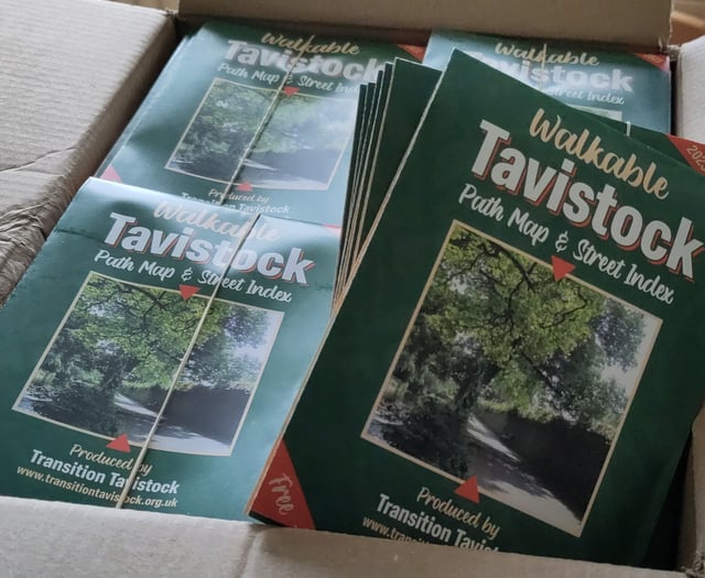 Transition Tavistock: Mapping connections