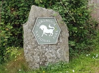 Dartmoor National Park reaffirms dedication to Race to Zero