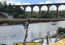 Calstock riverside avoided as residents live in fear of 'horrific' insect bites