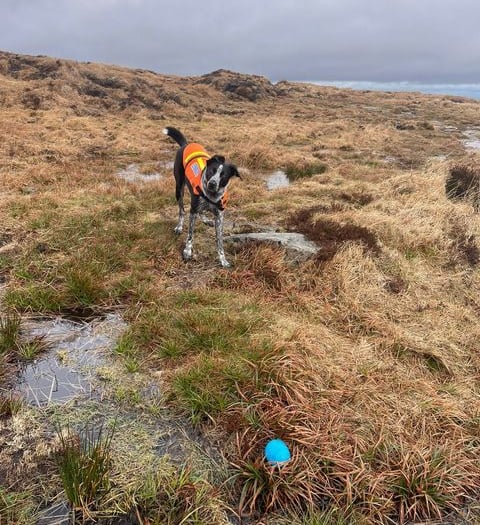 Dartmoor search team rescues walkers in bad weather