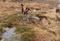 Dartmoor search team rescues walkers in bad weather